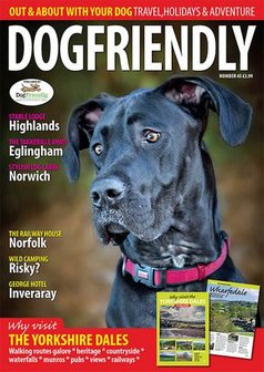 Dogfriendly Out &amp; About Magazine