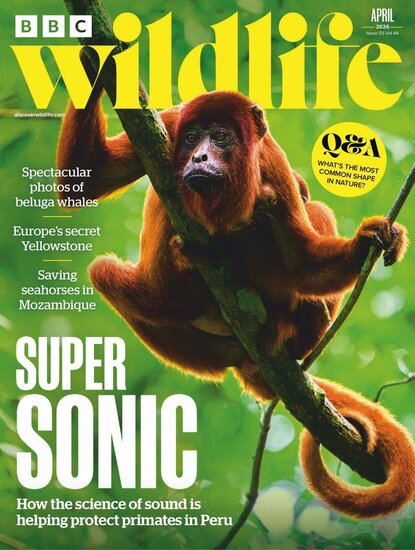 BBC Wildlife Magazine