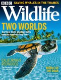 BBC Wildlife Magazine_