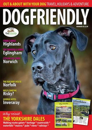 Dogfriendly Out & About Magazine