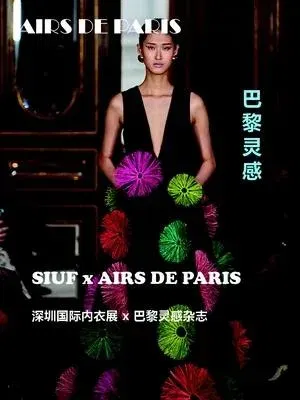Airs de Paris (Französisch)