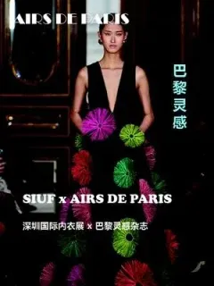 Airs de Paris (Französisch)