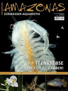 Amazonas (Deutsch)