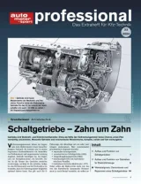 Auto Motor und Sport Professional (Deutsch) 1