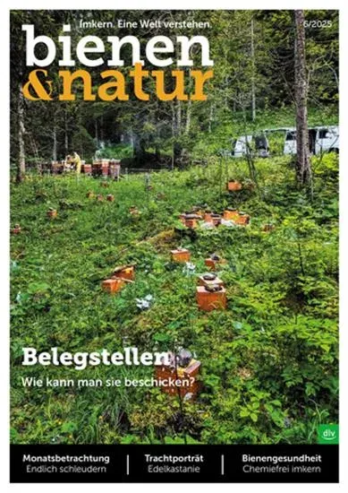Bienen & Natur (Deutsch)