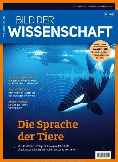 Bild der Wissenschaft (Deutsch)