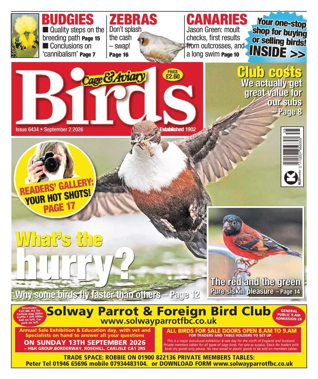 Cage & Aviary Birds Magazine
