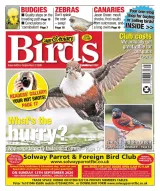 Cage & Aviary Birds Magazine 1