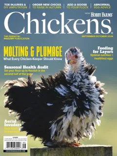 Chickens Magazine