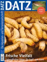 Datz (Deutsch) 1