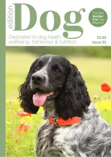 Edition Dog Magazine 1