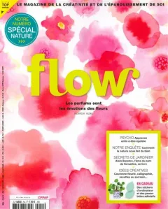 Flow (Französisch)