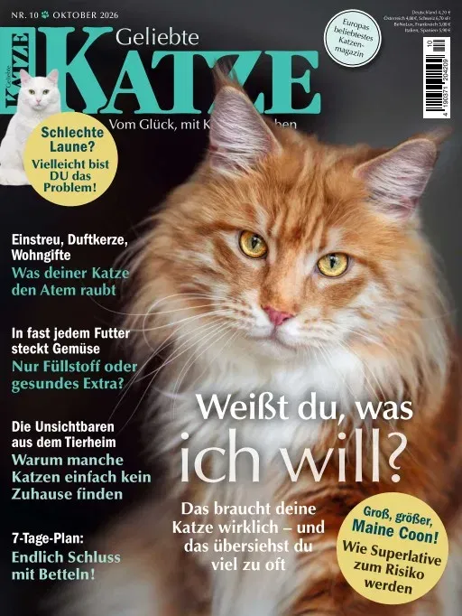 Geliebte Katze (Deutsch)