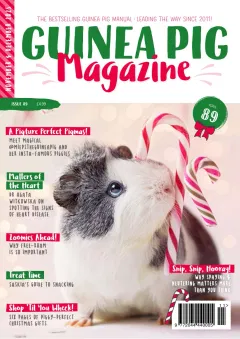 Guinea Pig