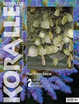 Koralle (Deutsch) 1
