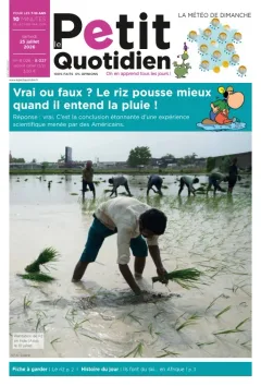 Le Petit Quotidien (Französisch)