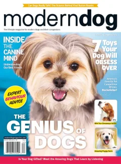 Modern Dog Magazine