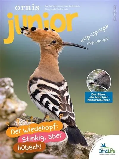 Ornis Junior (Deutsch)