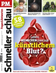 P.M. Schneller schlau (Deutsch)