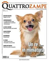 Quarter Horse Journal (Deutsch) 1