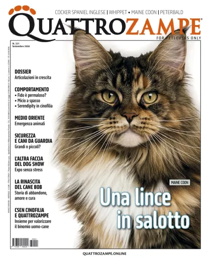 Quarter Horse Journal (Deutsch)