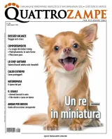 Quattro Zampe (Italienisch) 1