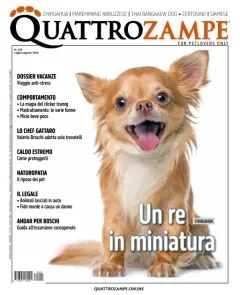 Quattro Zampe (Italienisch)