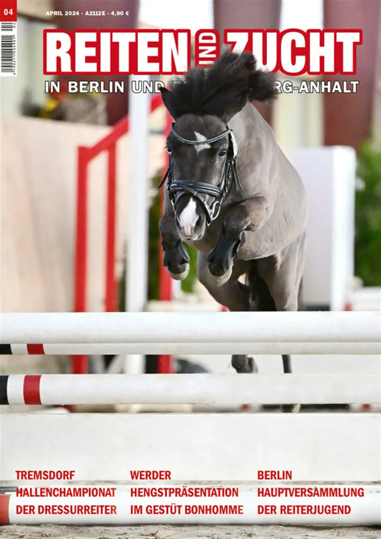 Reiten und Zucht in Berlin und Brandenburg-Anhalt (Deutsch)