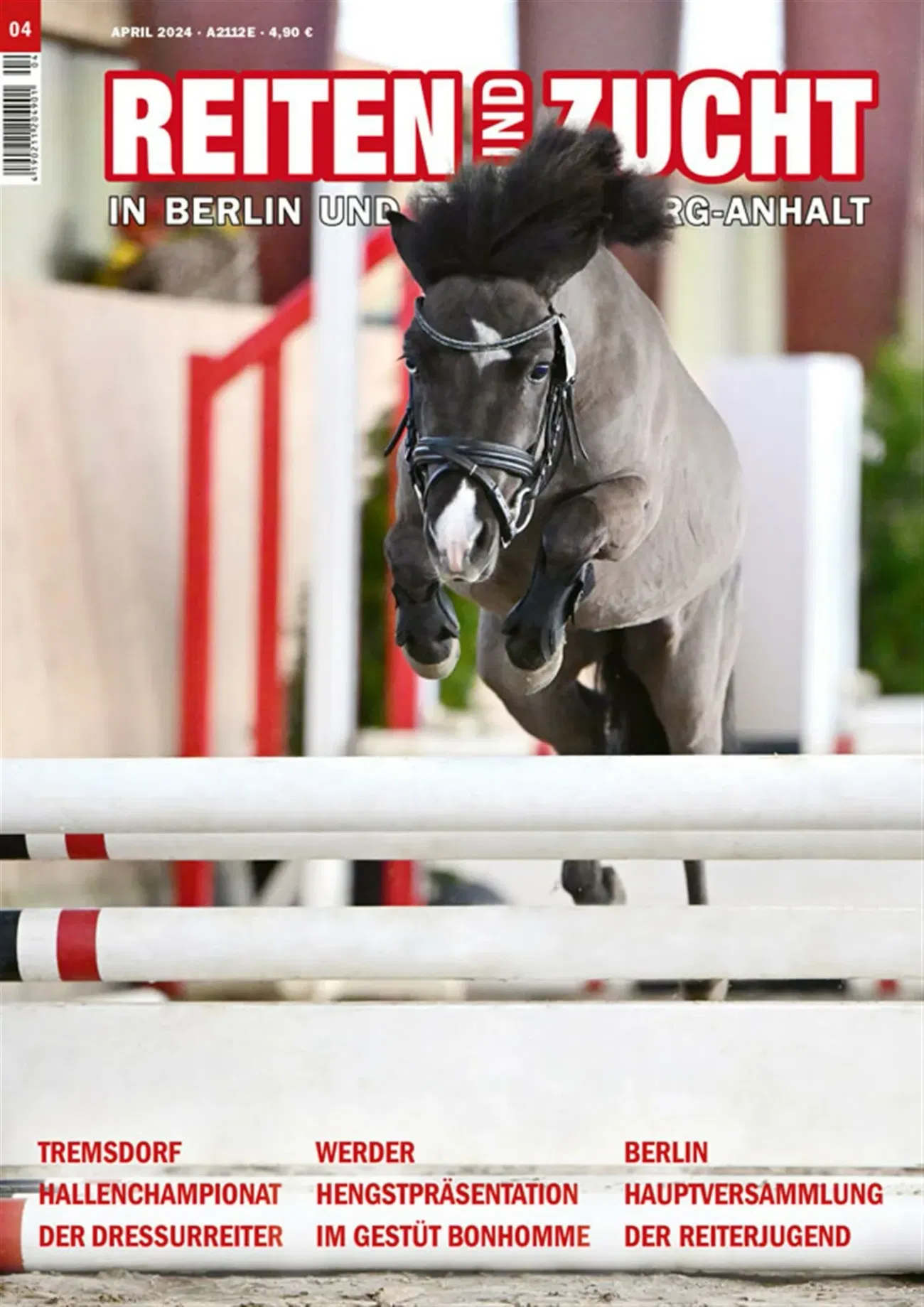 Reiten und Zucht in Berlin und Brandenburg-Anhalt (Deutsch)