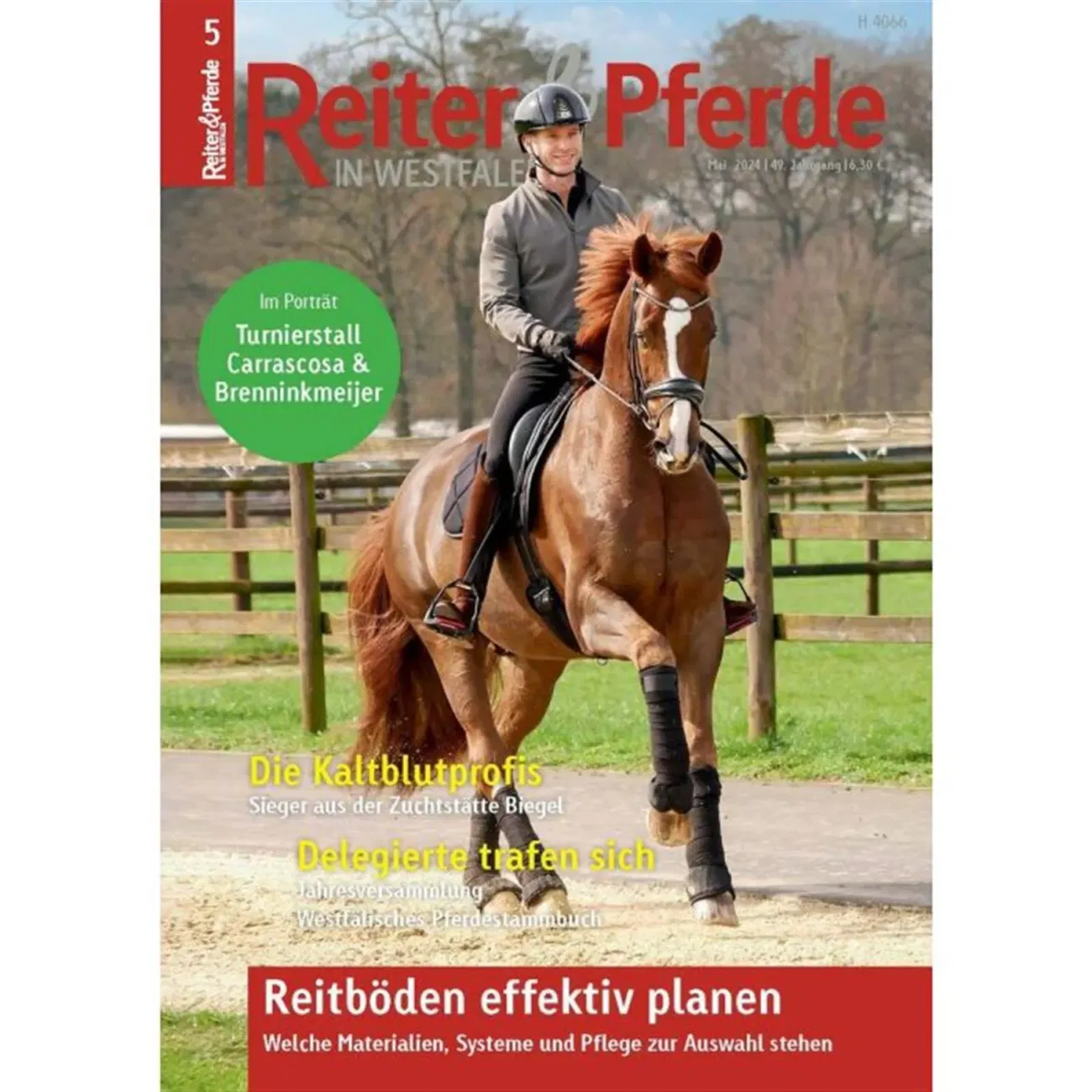 Reiter & Pferde in Westfalen (Deutsch)