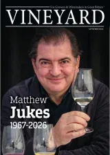 Vineyard Magazine 1