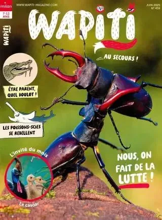 Wapiti (Französisch)