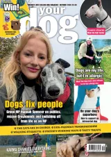 Your Dog Magazine 1